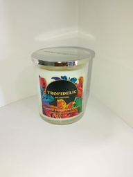 BB Tropidelic Single Wick Candle