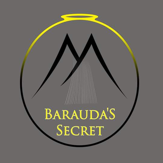 Baraudas's Secret, Jennifer Arzu Williams