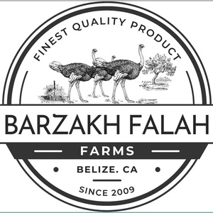 Barzakh Falah Farms